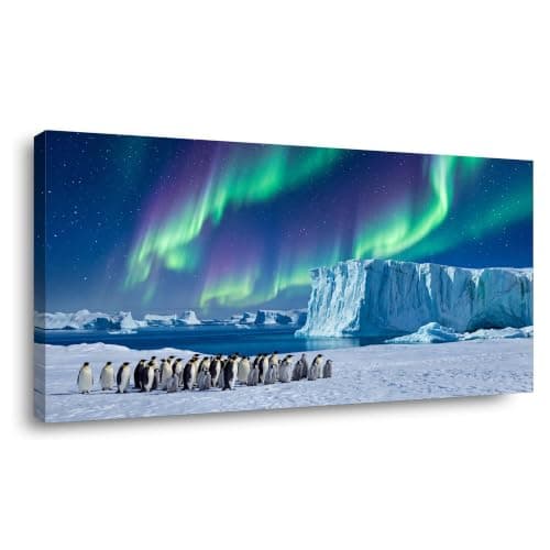 Teal Blue Antarctic Aurora Wall Art Penguin Polar Landscape Canvas Print