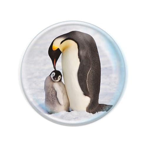 Magnidome - Penguin Fridge Magnet from Deluxebase. Cute Crystal Glass Dome Magnet for Refrigerator, Whiteboard and Locker. Unique Animal Gift for Office and Home Decor
