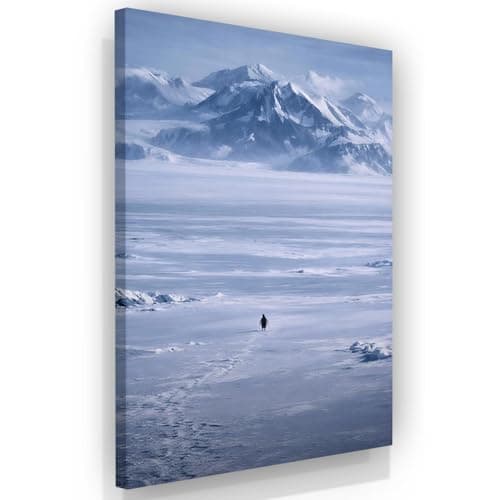 SuccessHunters Penguin Walking in Mountains Canvas – The Cold Walk Meme Wall Art, Existential Penguin Canvas Print, Office Wall Art (18L x 12W)