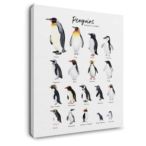 Ryeolo Penguin Species Wall Art Framed, Educational Biological Penguin Animals Canvas Wall Art Prints for Kids Room Nursery Playroom Classroom Home Office Decor, 12x16 Inches