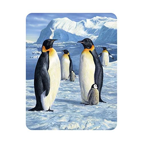 3D LiveLife Magnet - Antarctic Majesty from Deluxebase. Lenticular Arctic Animal Refrigerator Magnet. Decorative 3D Penguin Flat Magnets. Cute Small Magnets for Fridge, Dishwasher and Whiteboard.