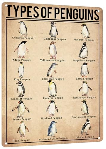 HYBLOM Types of Penguins Metal Tin Sign - Vintage Home & Bathroom Wall Decor Poster, Educational Penguin Lover Gift, Retro Farmhouse Club Wall Art 8x12 Inches